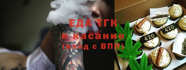 хмурый Арсеньев