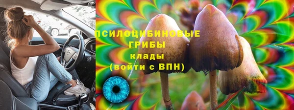 СК Иннополис