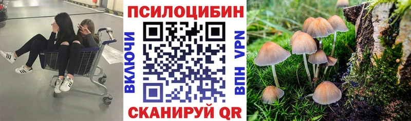 Галлюциногенные грибы мицелий ОМГ ОМГ как зайти Касли