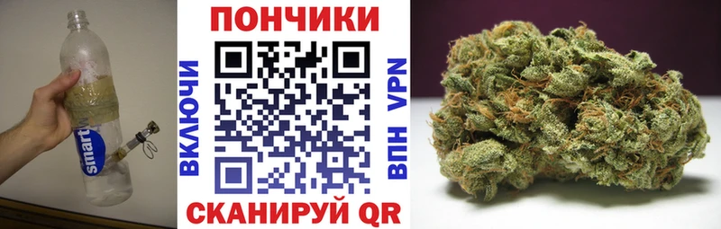 МАРИХУАНА план  Касли 